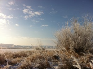 South SK River Nov 2012