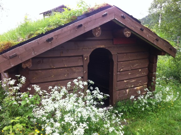 Alpine shelter