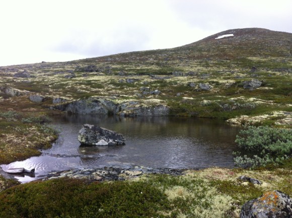 alpine pond near Dovre