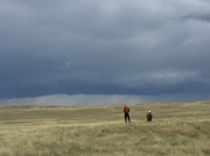 Some kind of weather coming