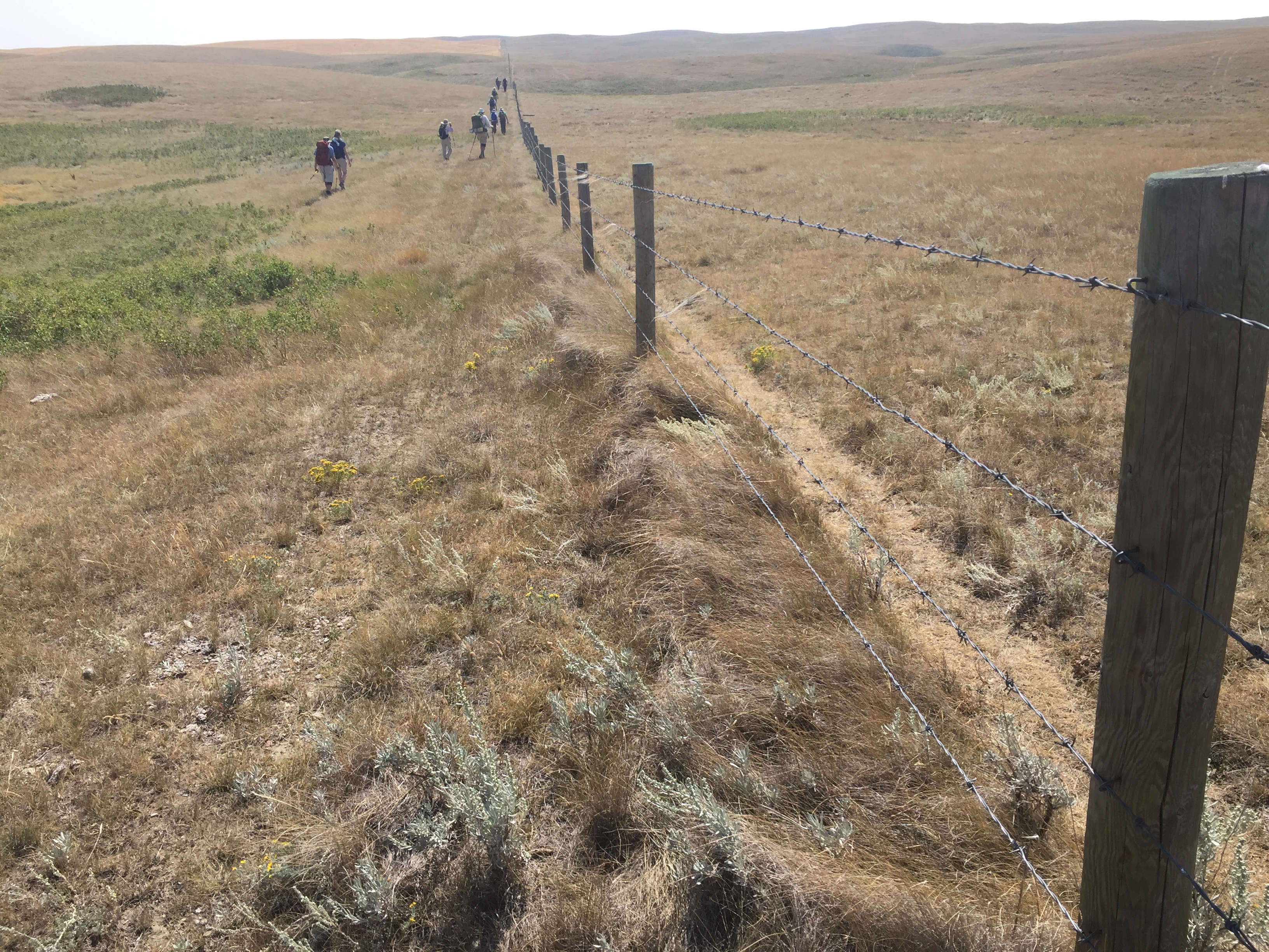 classic fence photo of pilgrims