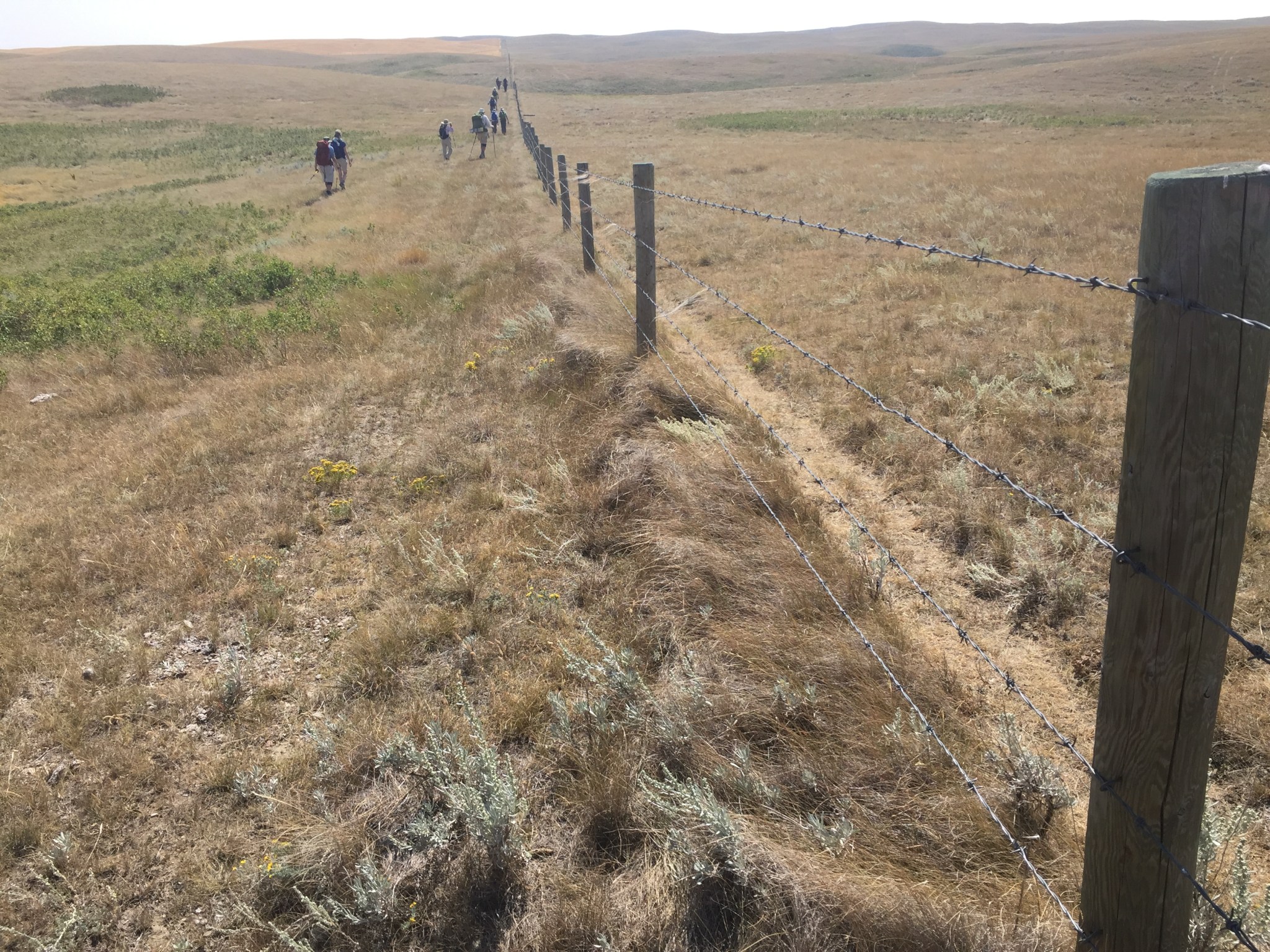 classic fence photo of pilgrims