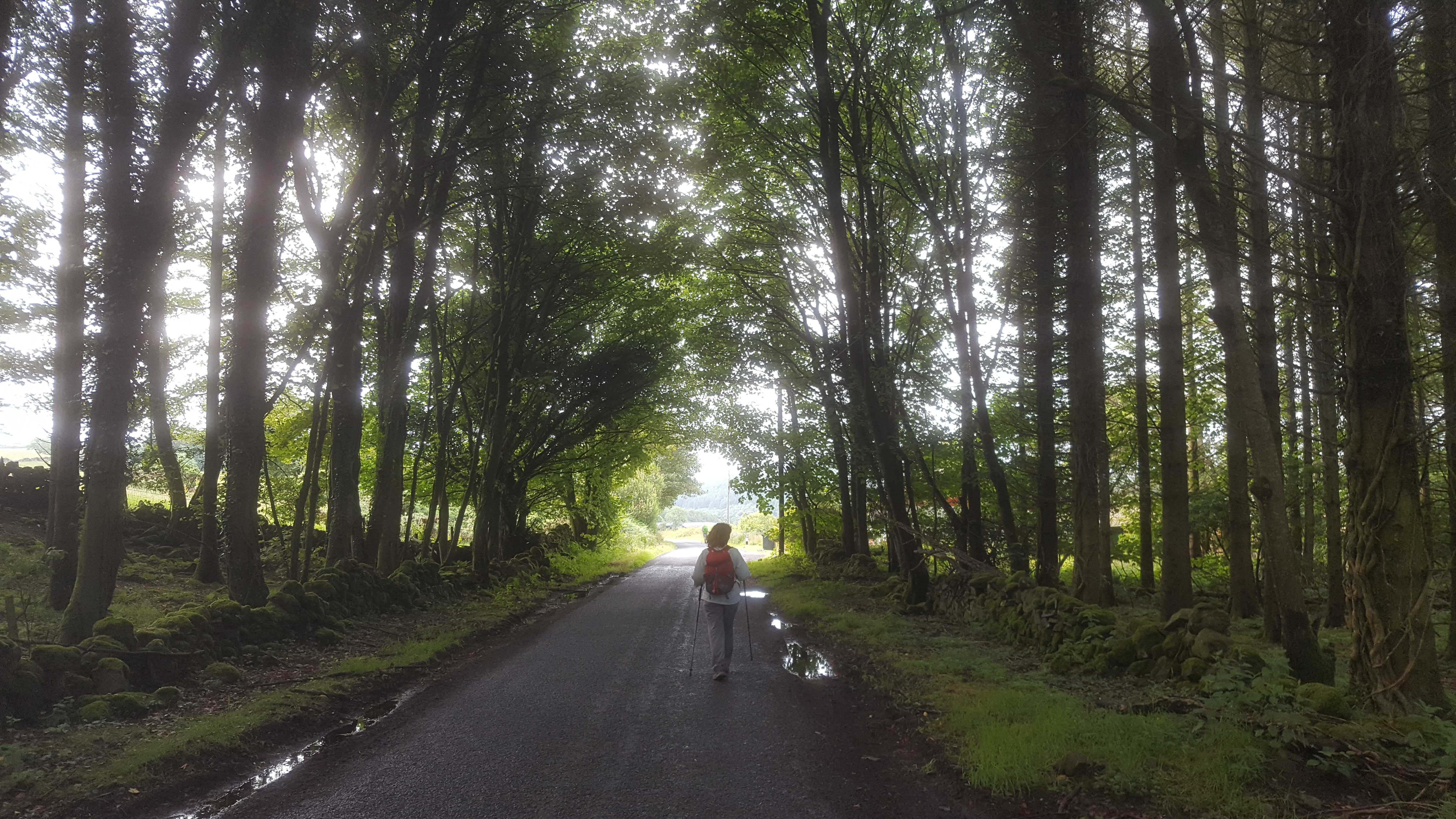 Christine in lit forest