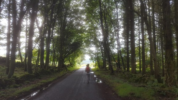 Christine in lit forest