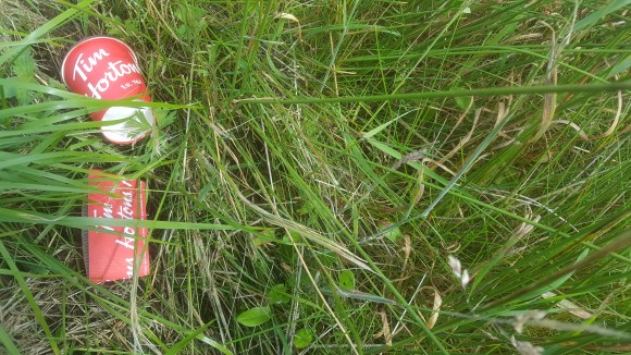 Tim Hortons garbage in rural Scotland