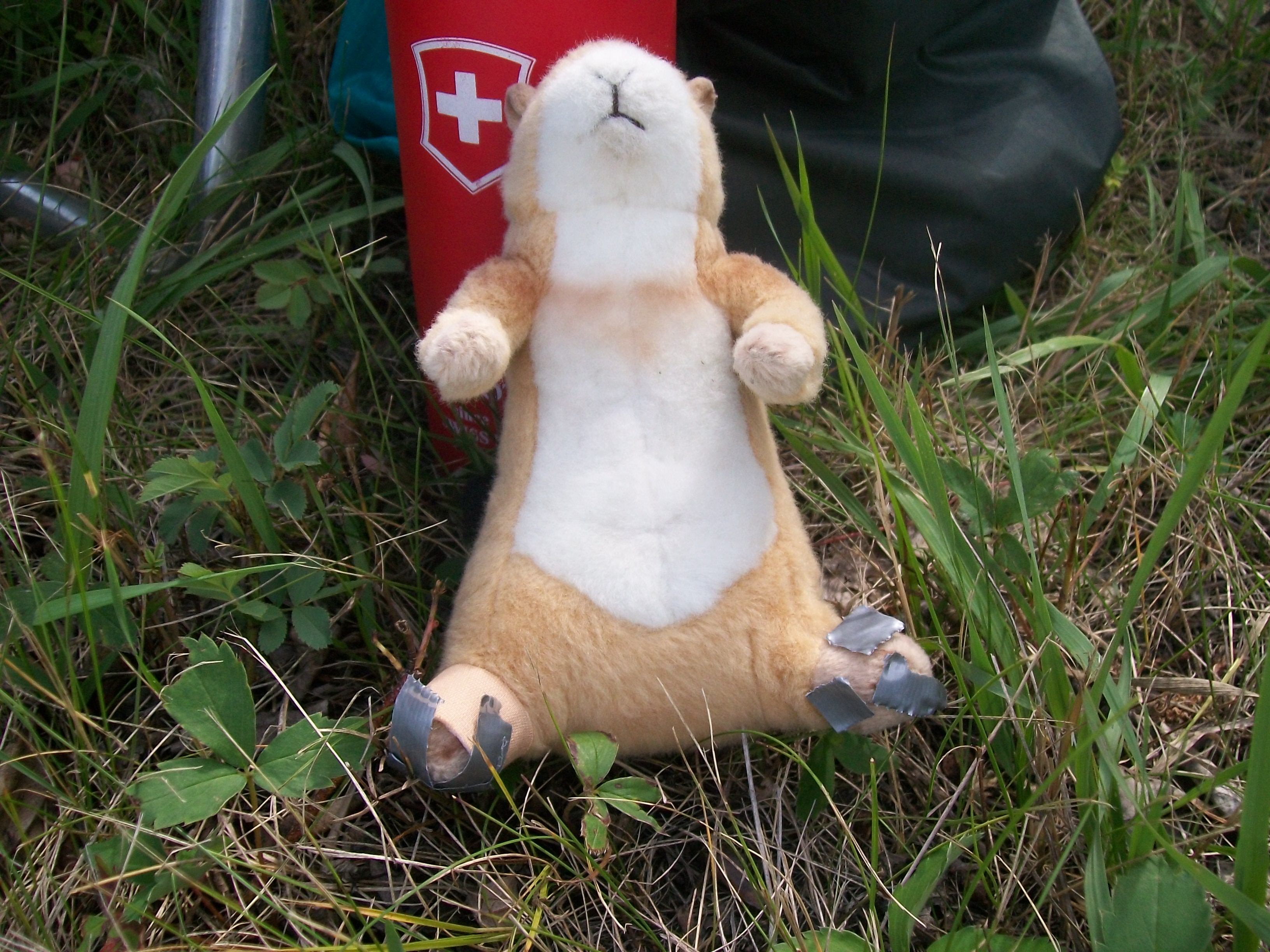 Matthew medical distress