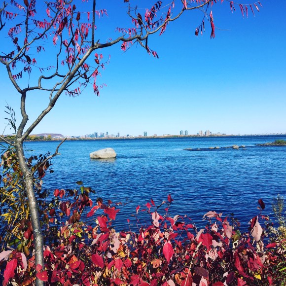 6645D00C-86BE-4509-A1D1-A8193821867C